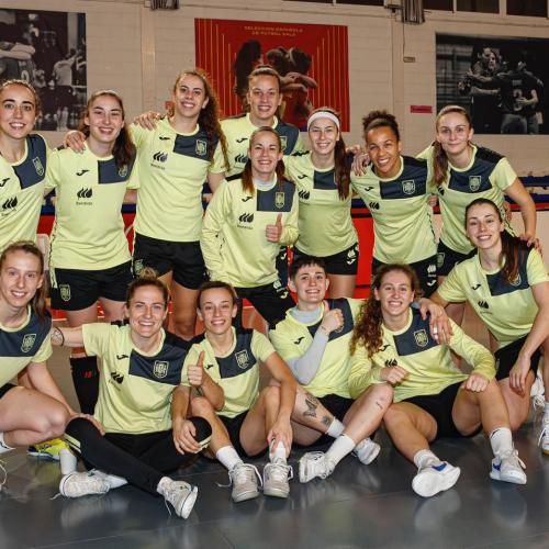 Seleccin espaola